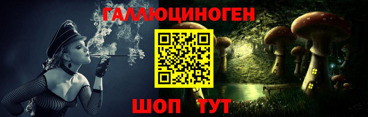 Галлюциногенные грибы Cubensis  Псилоцибиновые грибы прущие грибы  Мытищи  Вход с VPN 